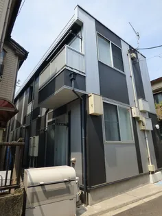 ステディの画像