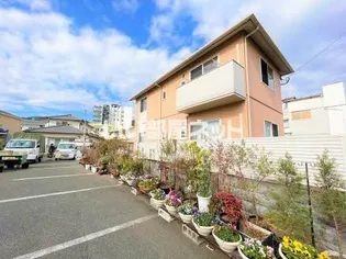 グラシアスの画像