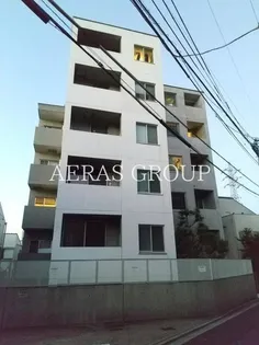 サンチャリーフの画像