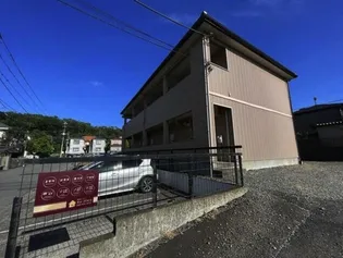 ワンデスの画像