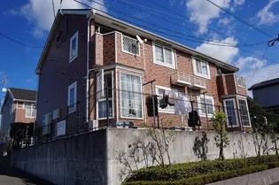 オレンジ ペコⅠの画像