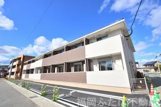 ヴィオラIIの画像