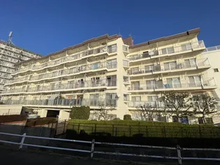 ルネ立石の画像