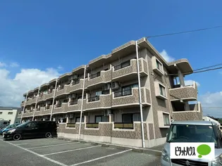 プレアデス'98の画像