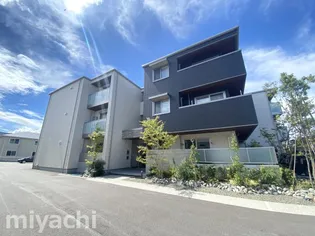 ベレオ北矢三の画像