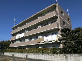 プレリヴィエールの画像