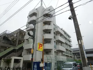 TOP蓮根の画像