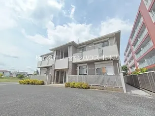 シェレンバウム Cの画像