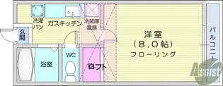 ホワイトキャッスル南小泉ビレジD【1階】の間取り