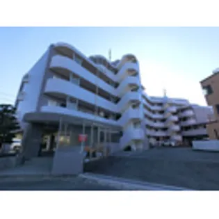 エヴァーグリーン市川の画像