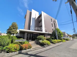 カーサカンフォロの画像
