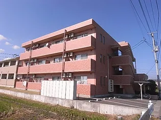 GRAND VIEW 桜花の画像