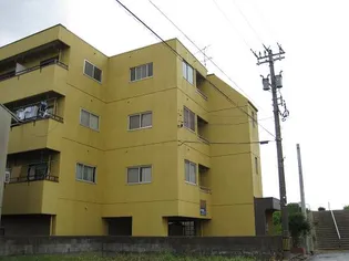 ヒルトップの画像