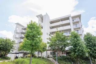 URアルビス緑丘【6階】の外観