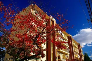 公社賃貸SMALIO 村野の画像