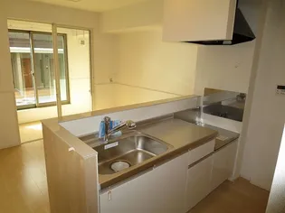 スナッパーロックスA【1階】のキッチン