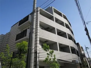 MAXIV成増【3階】の外観