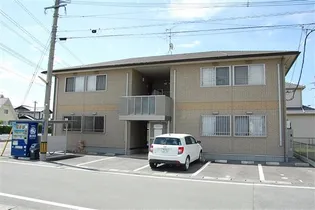 ルピナスの画像