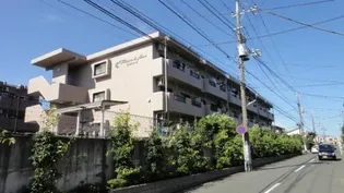 シャンドフルールの画像