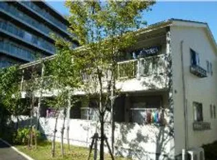 フォセットの画像