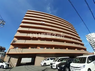 ベルフォーレの画像