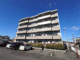 MSコーポの画像