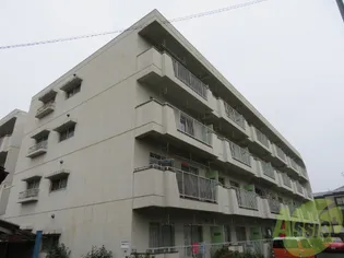 中島丁ハイツ【3階】の外観