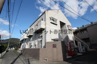 シャミー教育大前Ⅰの画像