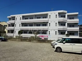 アムールの画像