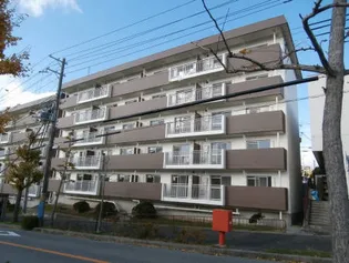 ロイヤルマンション2号棟【2階】の外観