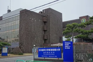 ル・プラージュの周辺