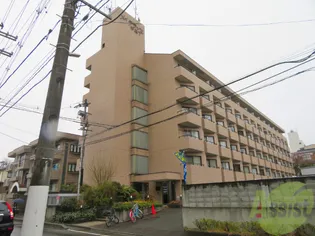 メイテラッセ中島丁【4階】の外観