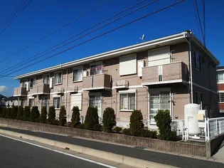 ラフィネMの画像