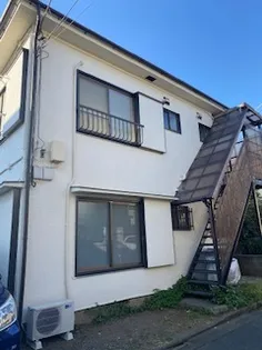 ハイム マヤの画像