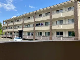 ベタニアの画像