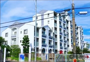 IVY GARDENの画像