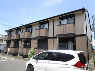 アムールの画像