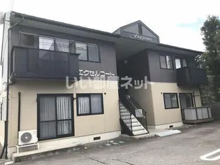 エクセルコートの画像