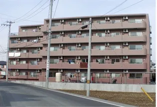 ル セザンヌの画像