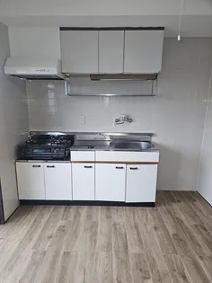 リバータウン日ノ出【4階】のキッチン