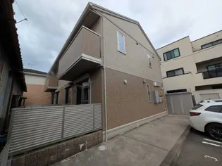 ドリームひまわりの画像