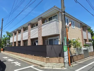 ララ向山の画像