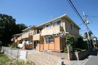 BELLE SAISON Bの画像