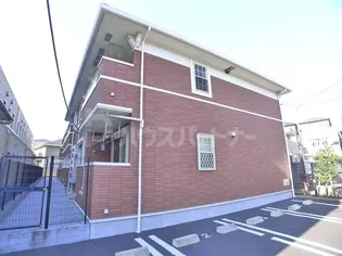 プリムローズの画像