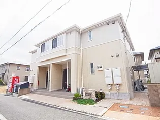 BIRD VERTバードヴェールの画像