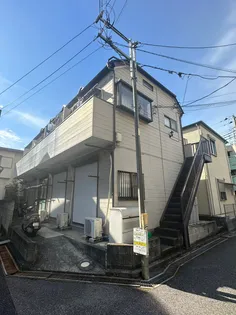 ロフティーチェリーの画像