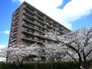 コーポレート上戸田の画像