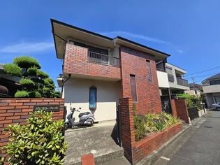 パピヨン ベールの画像