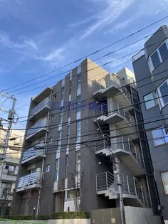ALLUREの画像