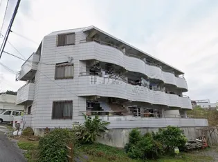 シャトレオリオンの画像